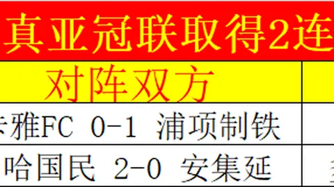 “澳网男单半决赛：辛纳VS谢尔顿 精彩对决回顾”
