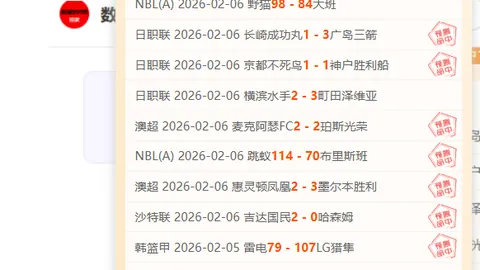 林德洛夫强调本菲卡重要性，未来决定待与妻商议